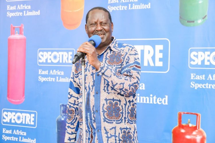 Raila Odingas Business Empire